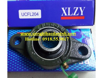 VÒNG BI FL204